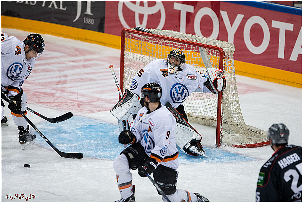 Koelner Haie - Grizzlys Wolfsburg, 16.10.2016, 16.10.2016
